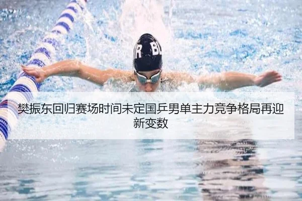 樊振东回归赛场时间未定国乒男单主力竞争格局再迎新变数